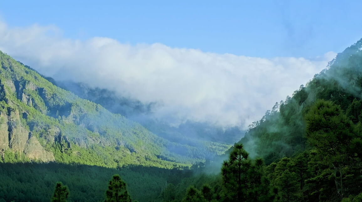 Canaryfulness La Palma