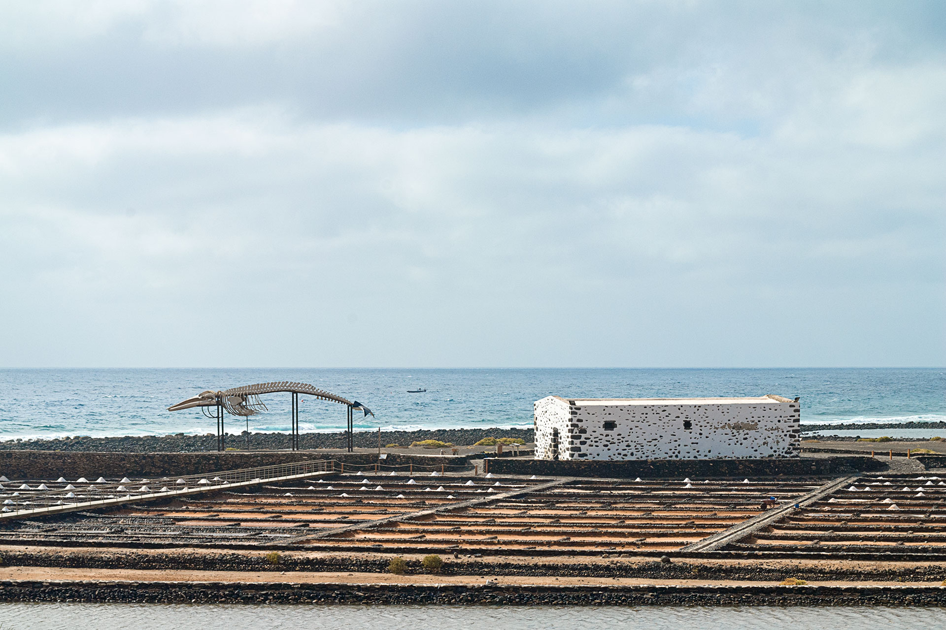 Fuerteventura. Salinas del Carmen