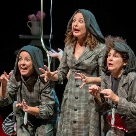 el_viento_es_salvaje