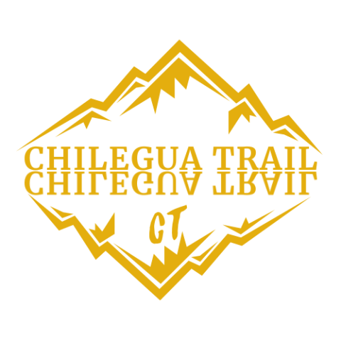 logo_oficial_ct_10