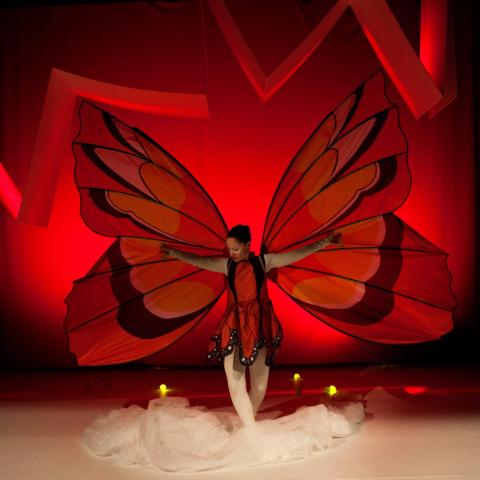 rrrr_historia_una_oruga