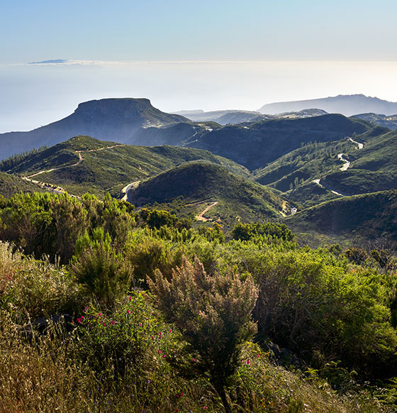 Parque Nacional de Garajonay