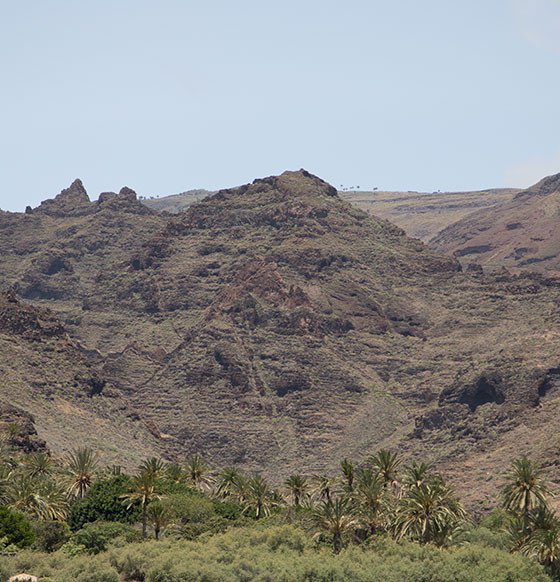 Barranco del Cabrito