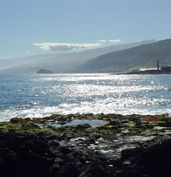 Charco de la Araña