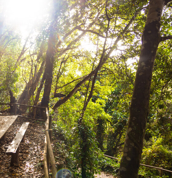 Los Chorros de Epina