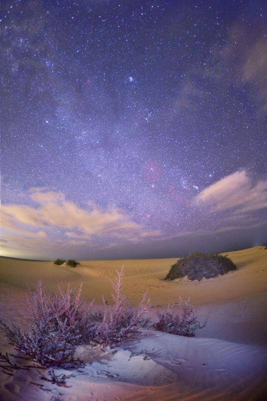 Fuerteventura. Dunas Corralejo