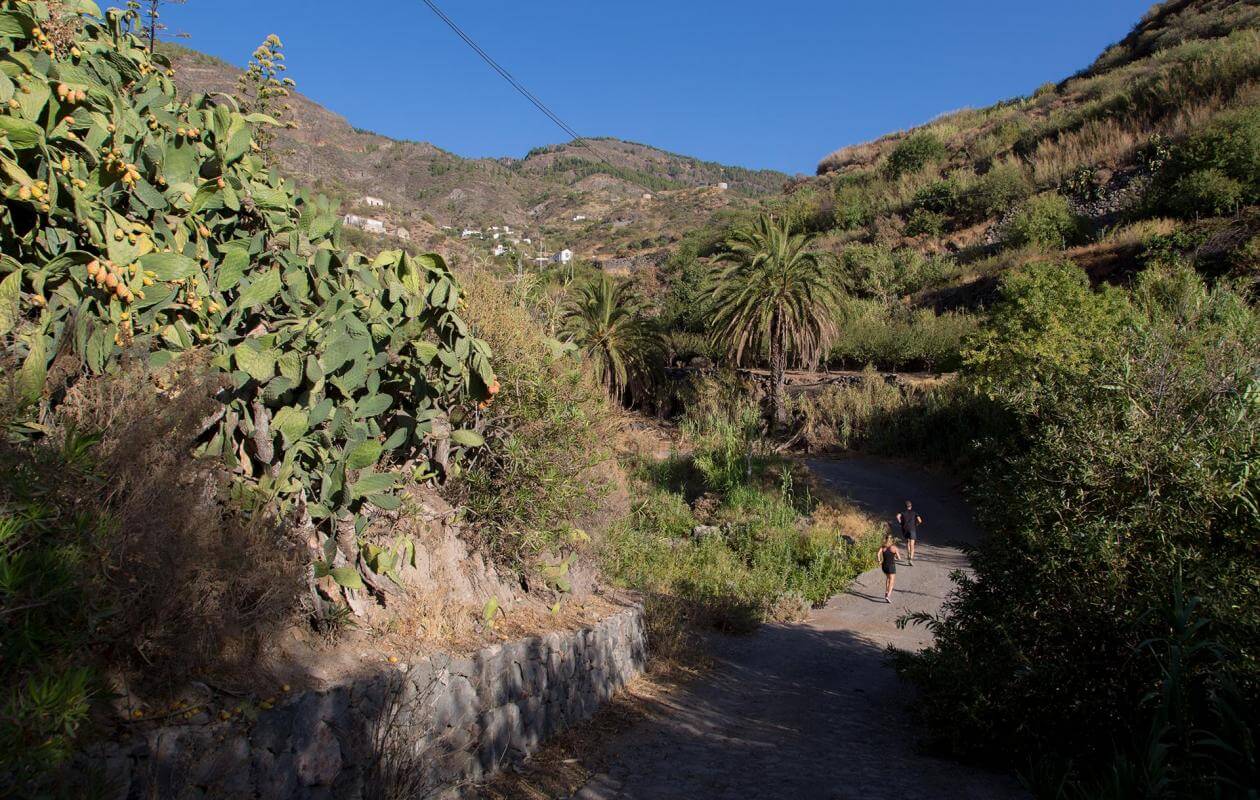 Agaete - Artenara-Trail