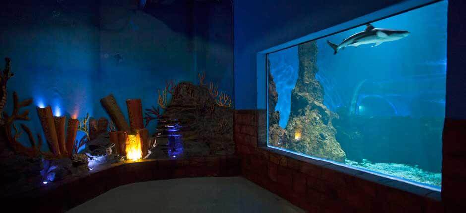 Aquarium Acuarios de Lanzarote