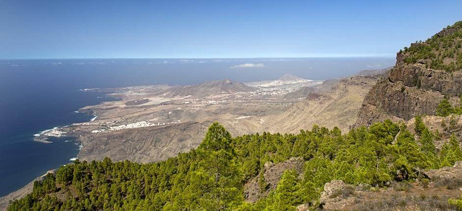 Tamadaba-Bajada de Faneque + Vandreruter på Gran Canaria