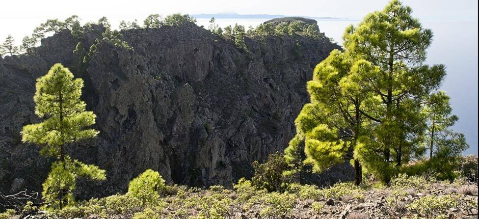 Tamadaba-Bajada de Faneque + Vandreruter på Gran Canaria