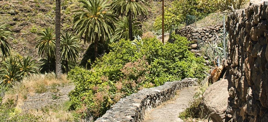 Playa Santiago-Benchijigua + Vandreruter på La Gomera