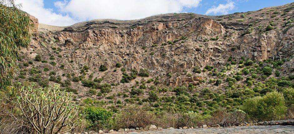 Caldera de Bandama + Vandreruter på Gran Canaria