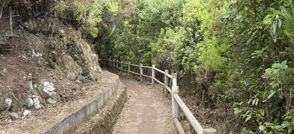 Cubo de la Galga + Vandreruter på La Palma