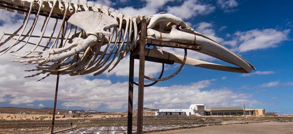 Saltmuseet Museer på Fuerteventura