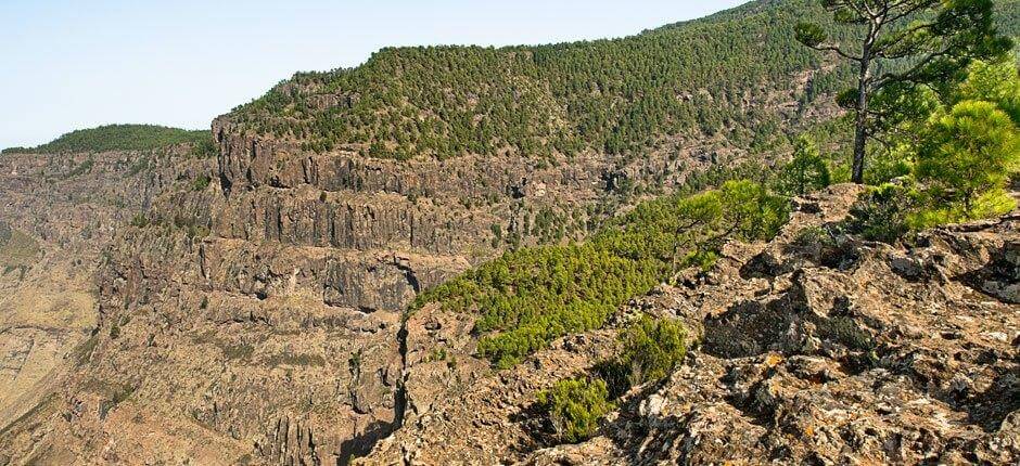 Escalada en Tamadaba Escalada en Gran Canaria