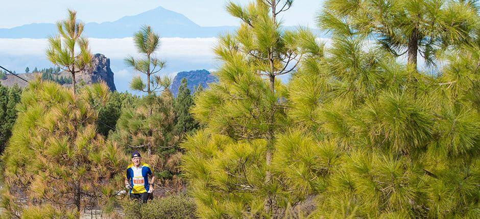 Llanos de la Pez. Orientación de Gran Canaria