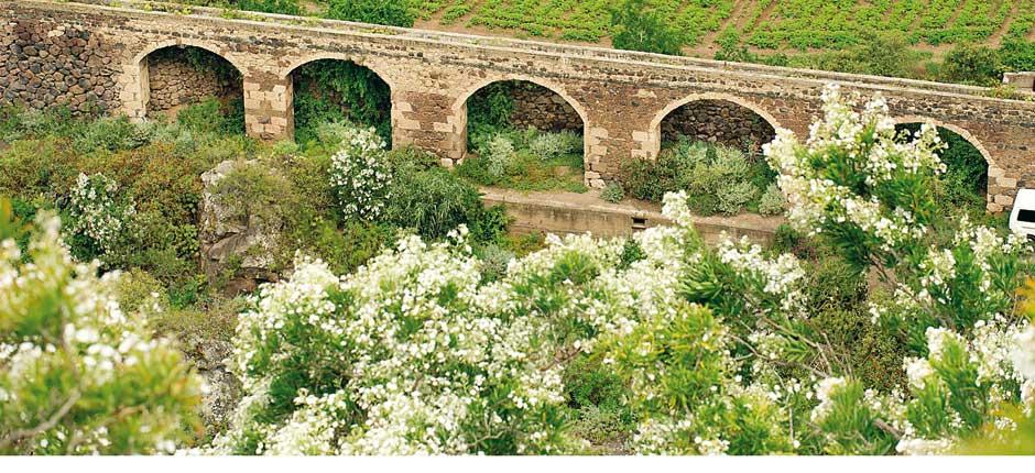 Botanisk Have Viera y Clavijo Museer og turistcentre på Gran Canaria