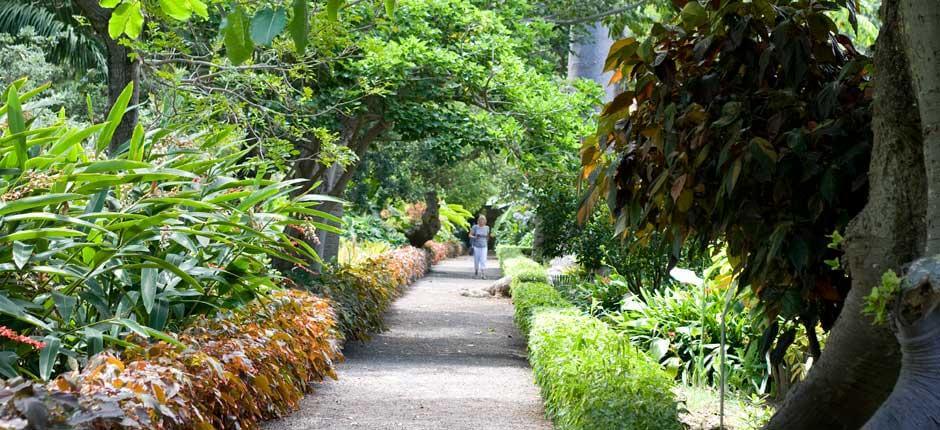 La Orotava Akklimatiseringshaven Museer og turistcentre på Tenerife