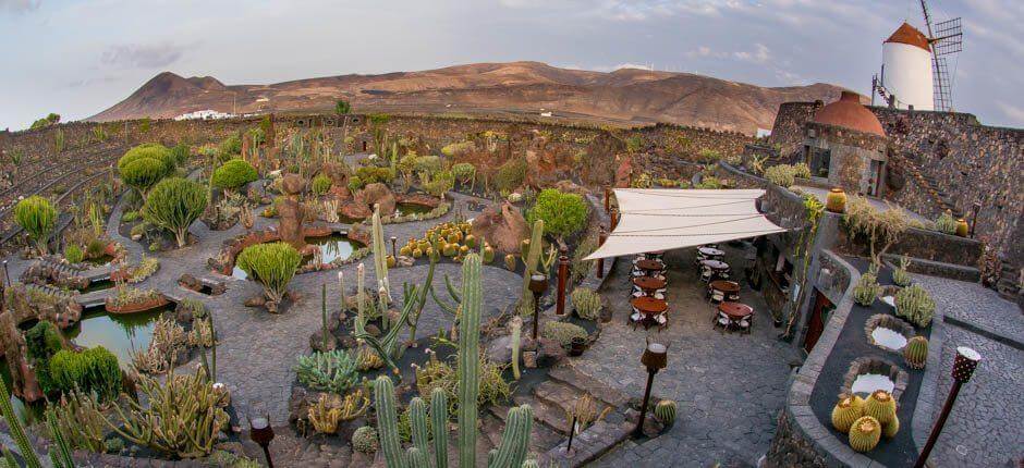 Kaktushaven Museer og turistcentre på Lanzarote