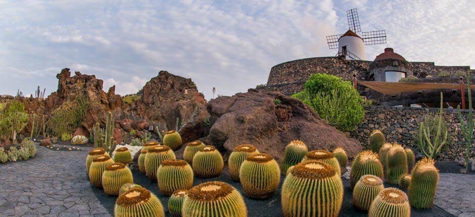 Kaktushaven Museer og turistcentre på Lanzarote