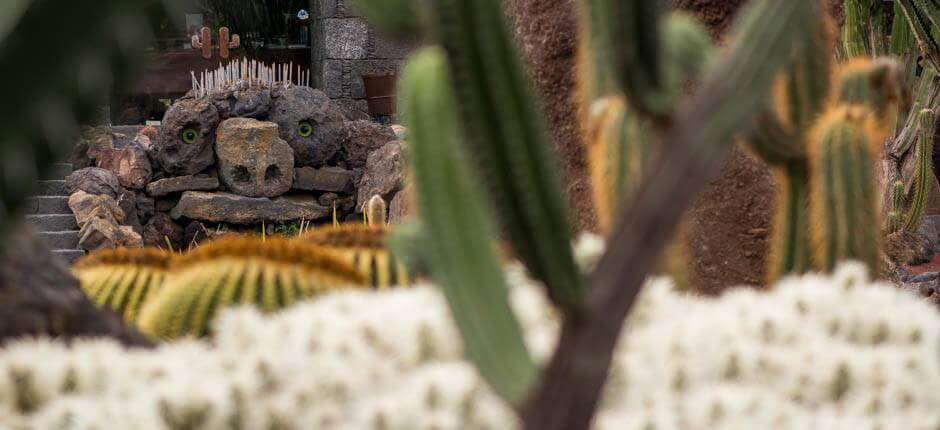 Kaktushaven Museer og turistcentre på Lanzarote