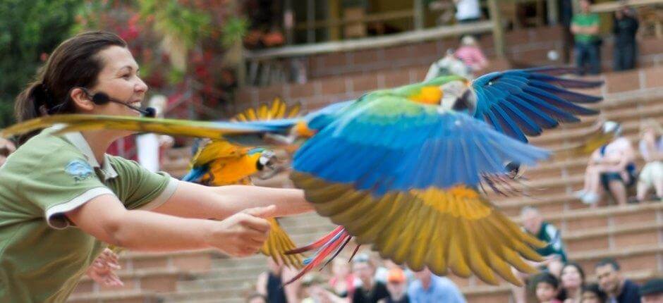 Jungle Park Zoológicos de Tenerife