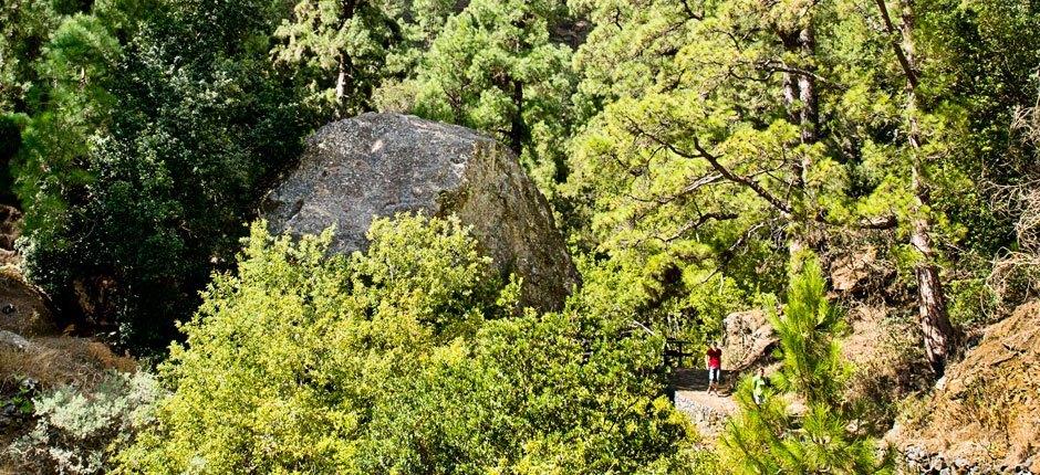 Caldera de Taburiente + Vandreruter på La Palma