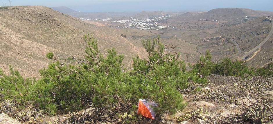 El Bosquecillo. Orientación de Lanzarote