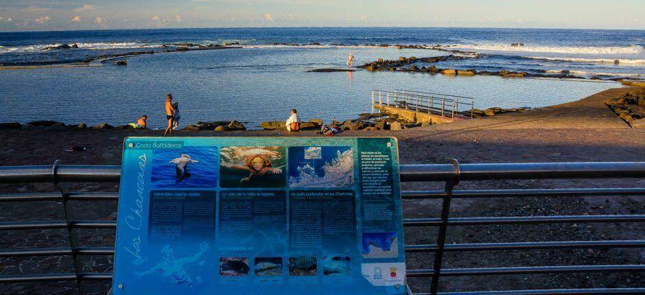 Los Charcones. Piscinas naturales de Gran Canaria