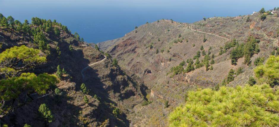Mirador de Izcagua på La Palma