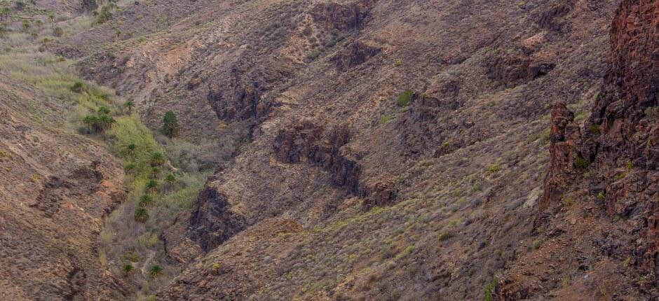 Udsigtspunktet La Degollada de las Yeguas Gran Canaria