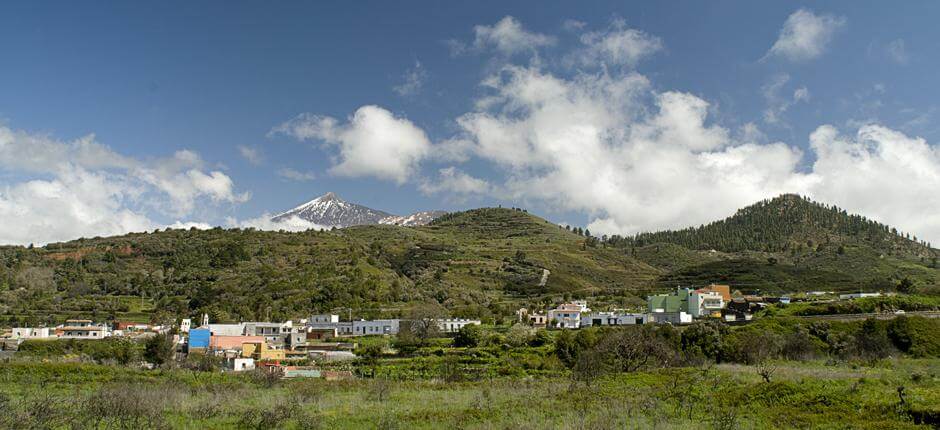 Monte del Agua + Vandreruter på Tenerife