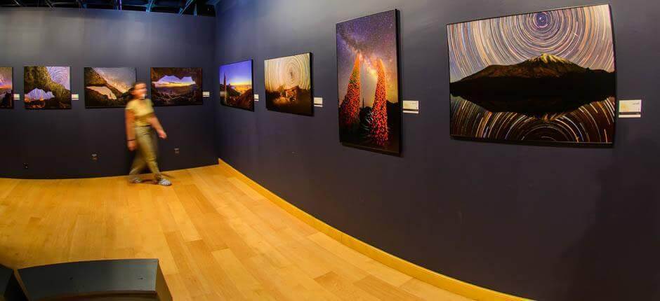 Elder Museet Museer på Gran Canaria 