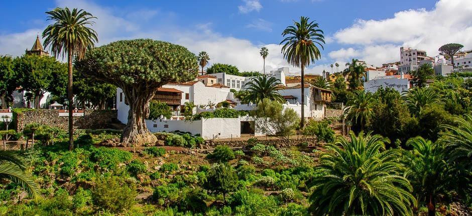 Parque del Drago Milenario Museer og turistcentre på Tenerife