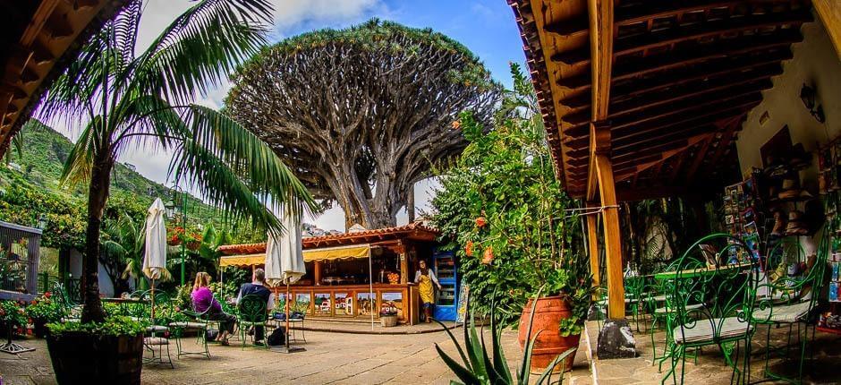 Parque del Drago Milenario Museer og turistcentre på Tenerife