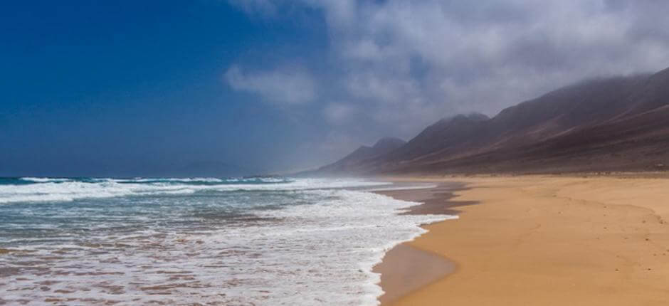 Playa de Cofete. Playas vírgenes de Fuerteventura