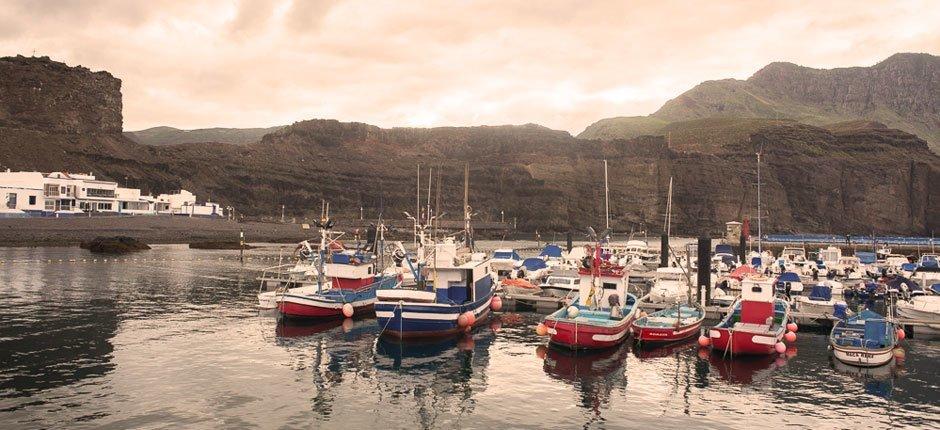 Puerto de Las Nieves Marinas y puertos deportivos de Gran Canaria