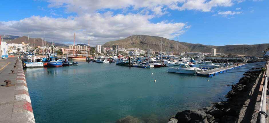 Puerto de Los Cristianos Marinas y puertos deportivos de Tenerife