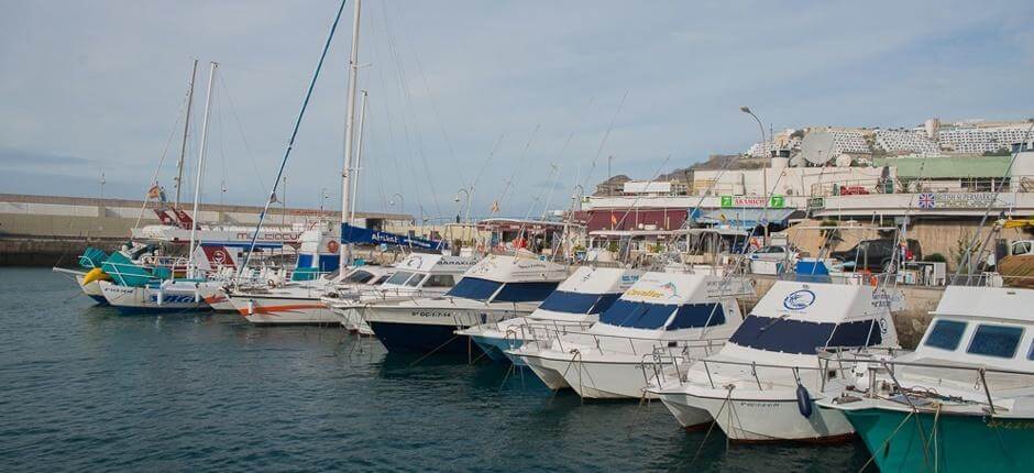 Puerto deportivo de Puerto Rico Marinas y puertos deportivos de Gran Canaria