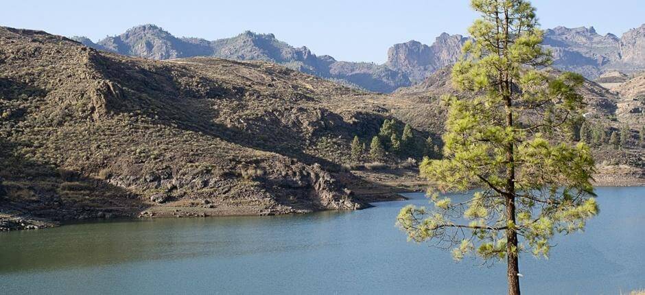 Vandring på dæmningsruten Vandring på Gran Canaria