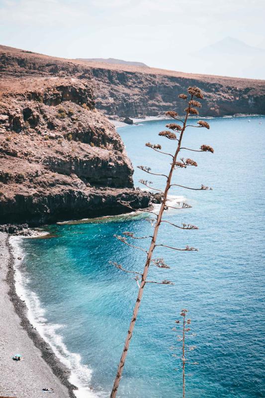 Playa de Tapahuga