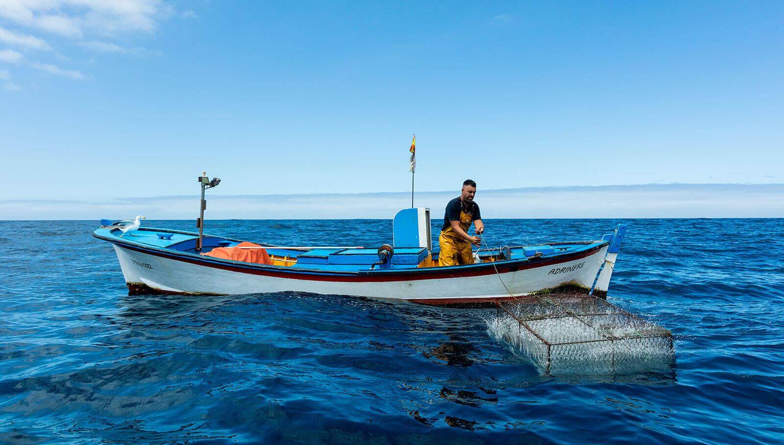 Lokalt fiskeri. Tenerife