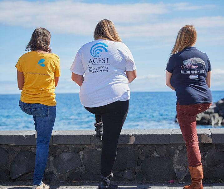 ACEST – Asociación para la Conservación de Cetáceos del Sur de Tenerife