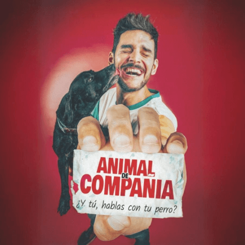 animalcompania_1