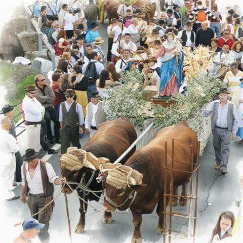 romeria_los_labradores
