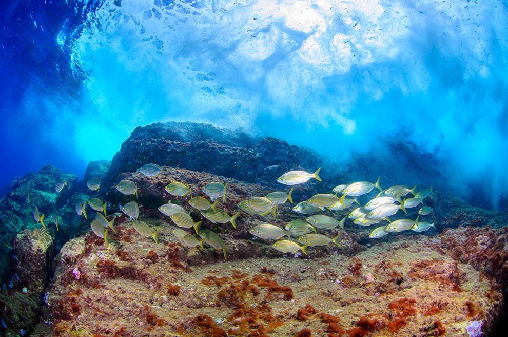 Fondo submarino, Playa de La Cueva