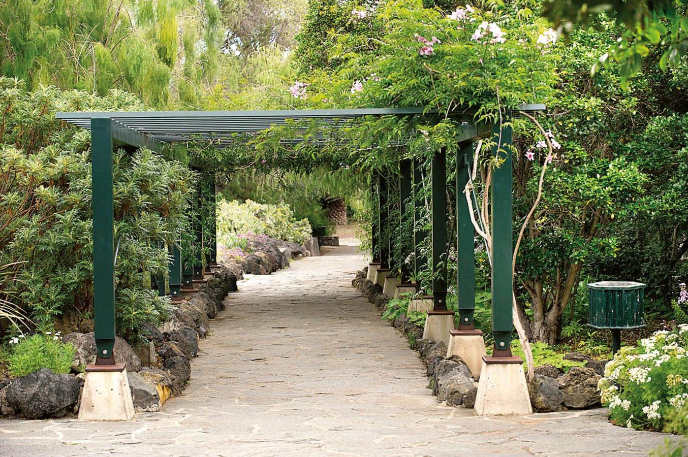 Jardín botánico Viera y Clavijo - galeria4