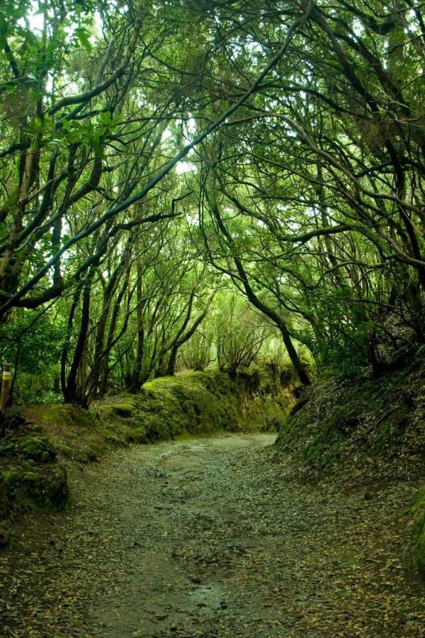 Una excursión a un espacio natural y una experiencia sensorial - galeria5