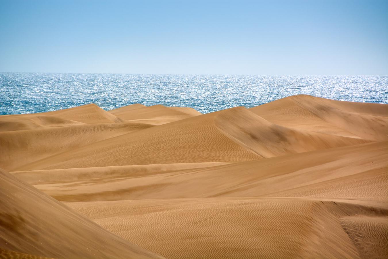 Reserva Natural Especial de las Dunas de Maspalomas, en Gran Canaria