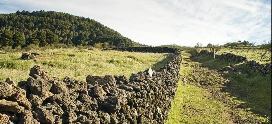 Camino de la Virgen + Vandreruter på El Hierro